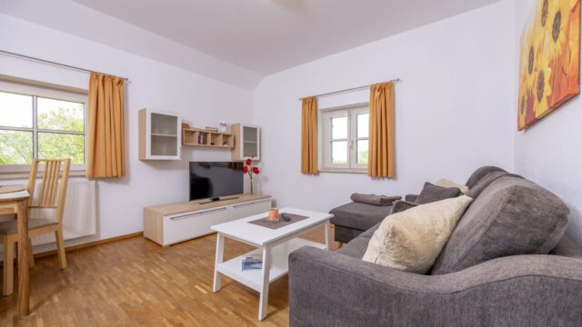 fewo-allgaeublick-memmingen-02-wohnbereich-1