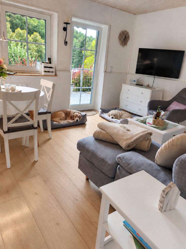 09_Wohnzimmer_mit_Hunden