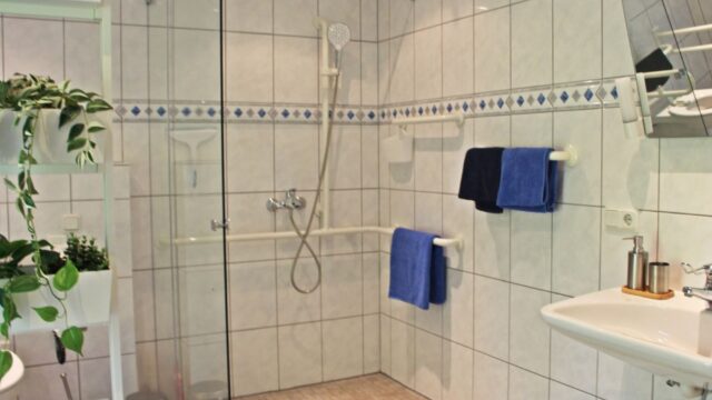 bostalsee-ferienwohnung-schwarzhof-hanfdell-dusche-barrierefrei